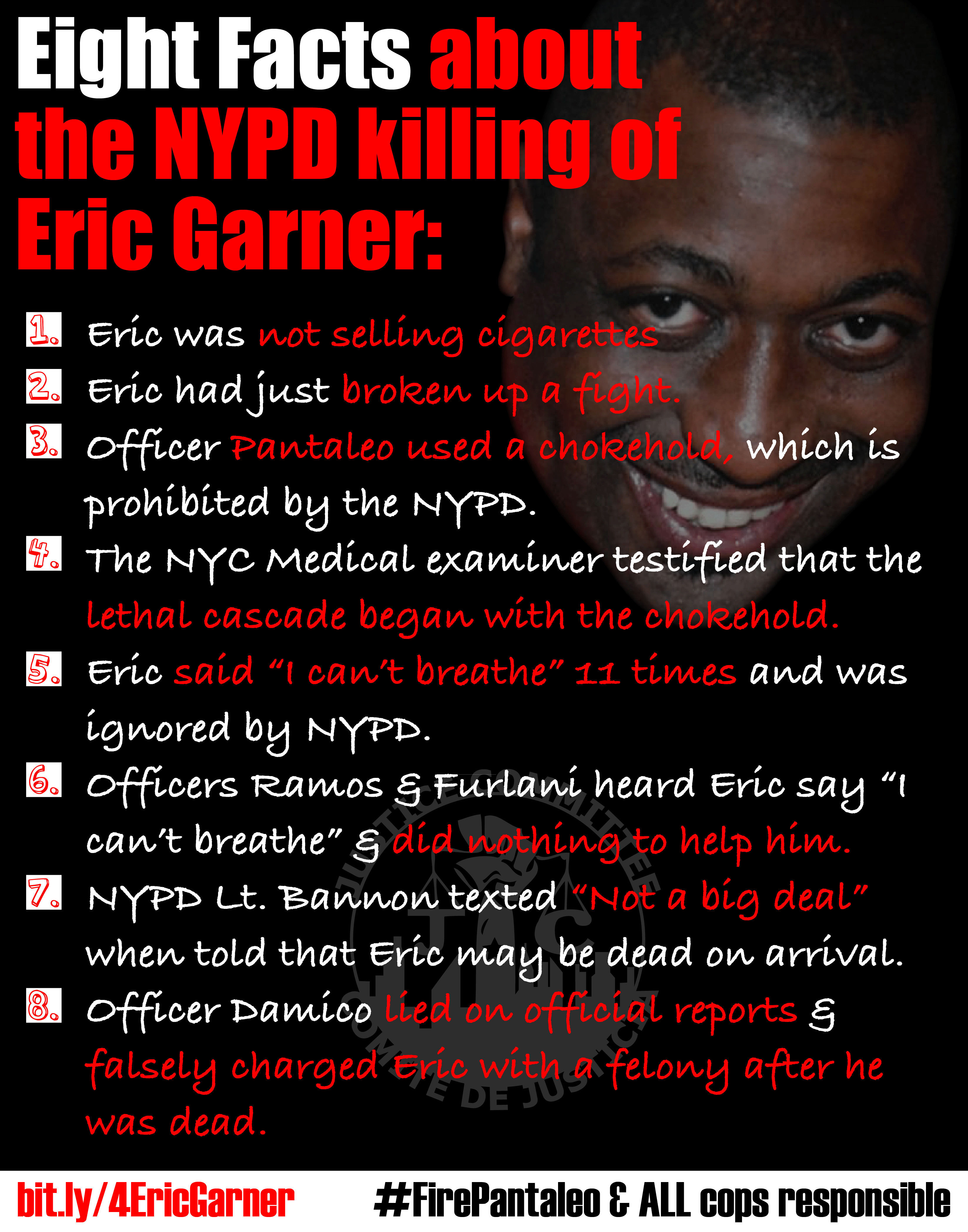 for Eric Garner | Communities United for Police Reform